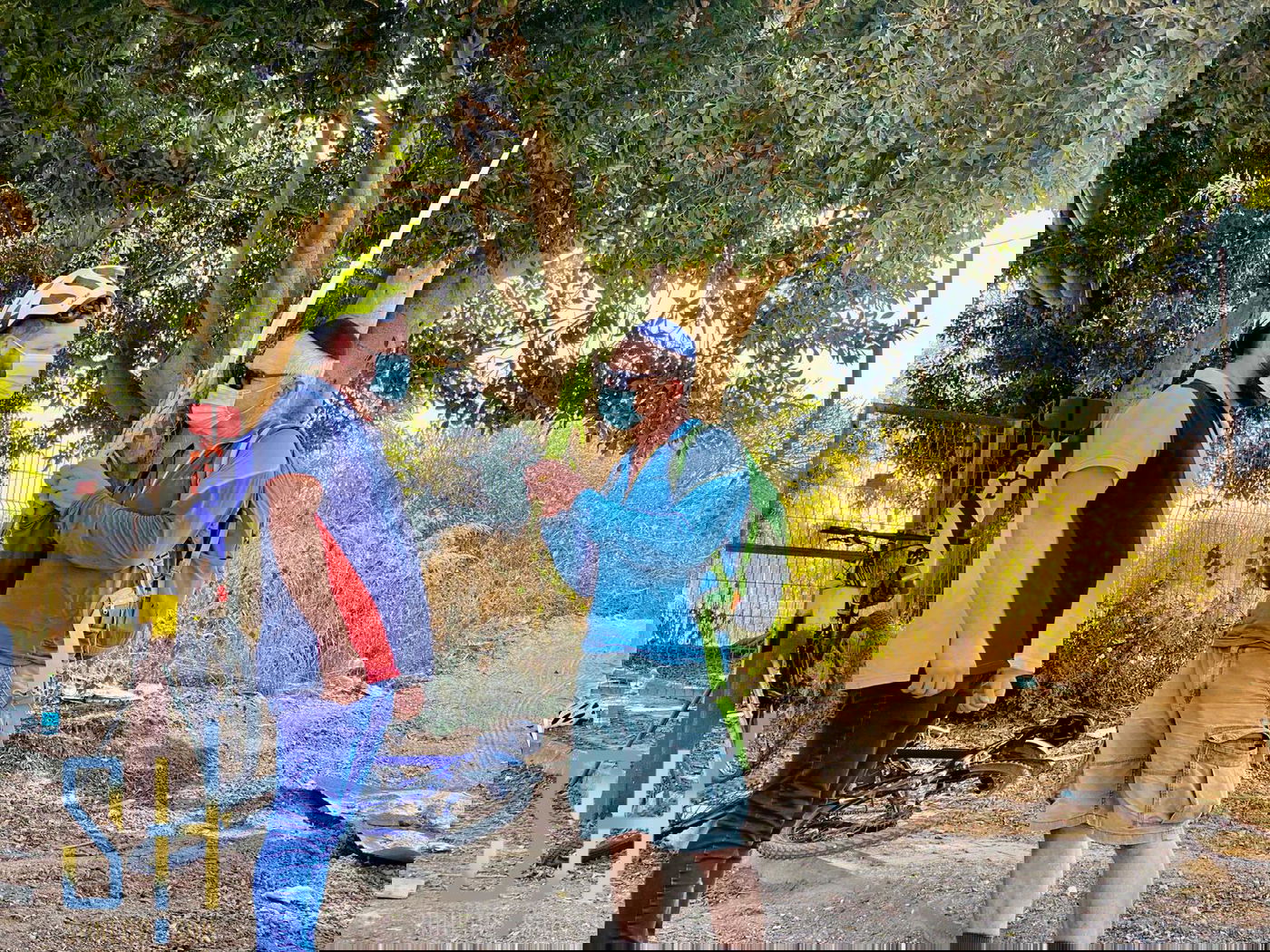 בדרך להפגנה: 'הדגלים השחורים' נטלו לולב