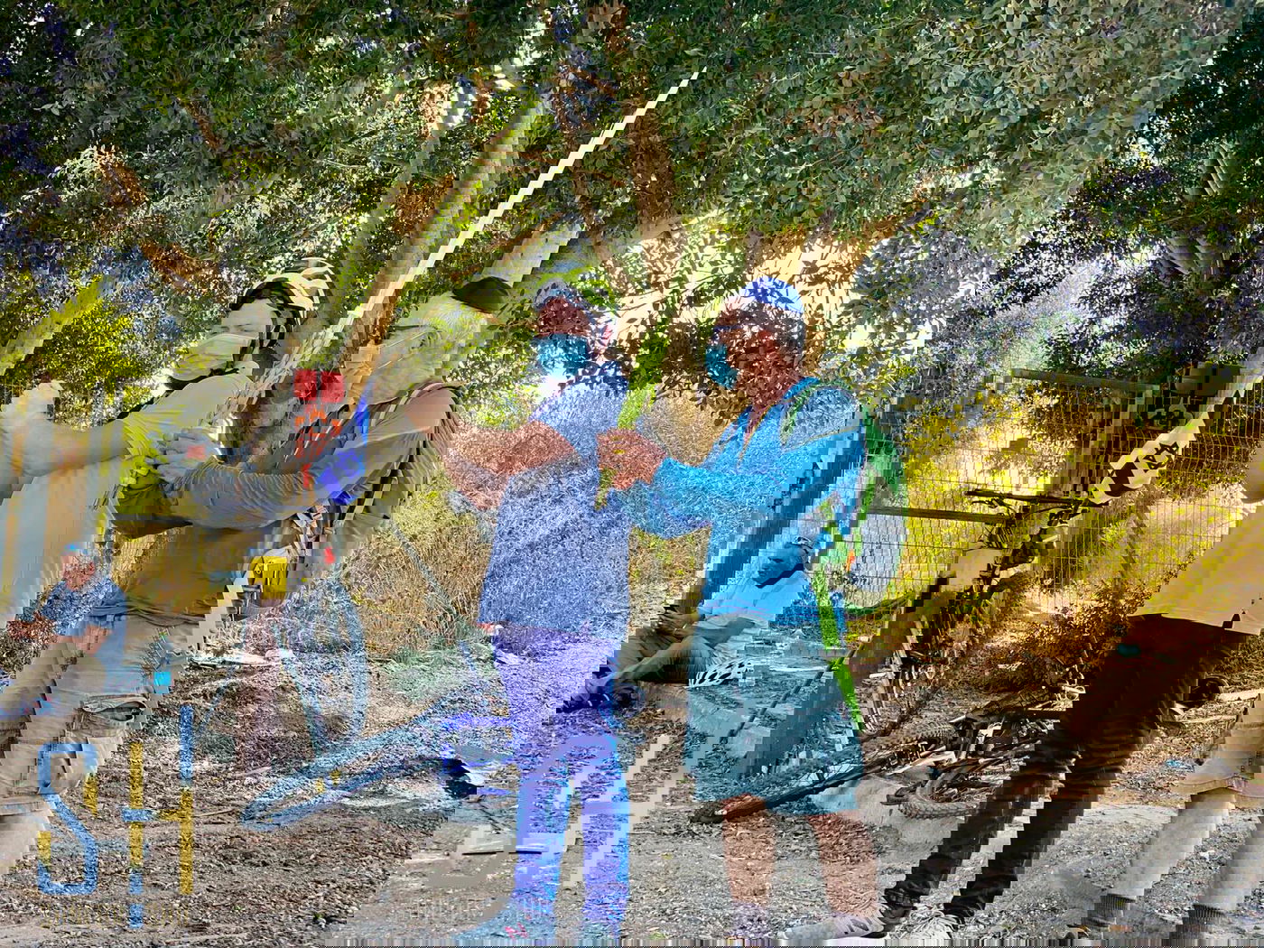 בדרך להפגנה: 'הדגלים השחורים' נטלו לולב