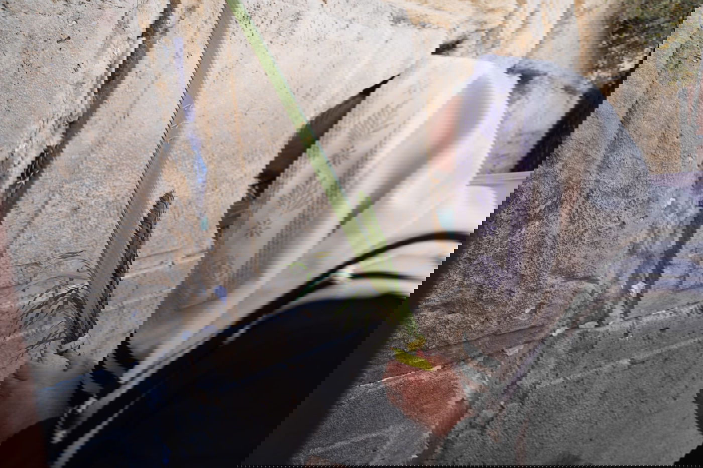 במקום רבבות, מאות; מעמד "ברכת כהנים" בכותל המערבי