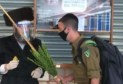 מבלפור ועד מחלקות הקורונה: רבבות נוטלים לולב עם שלוחי חב"ד