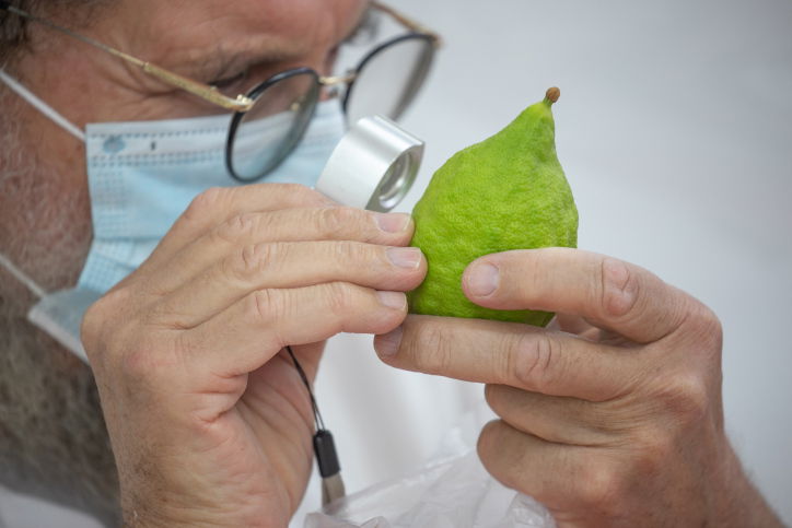 אילוסטרציה