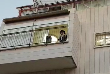 מהמרפסת: הרב יגאל כהן בשיעור למתפללים