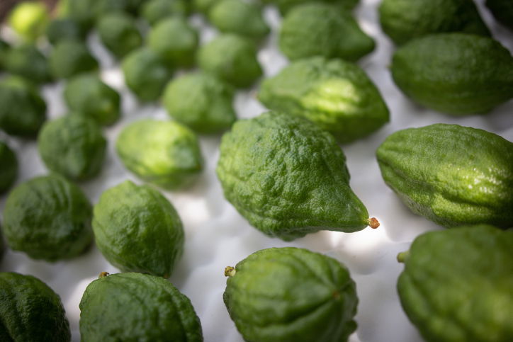 אילוסטרציה