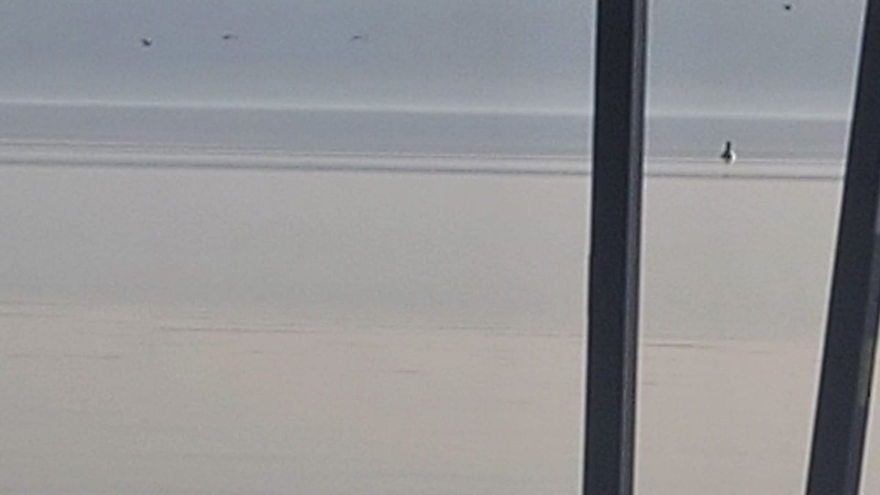 סגר בכנרת? בואו תראו מי כן נמצא על החוף