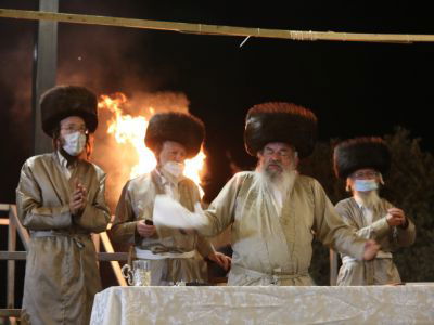 הרבי מלעלוב