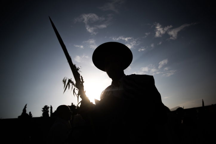 הזדמנות להמתיק הדינים // משה יהודה חיים