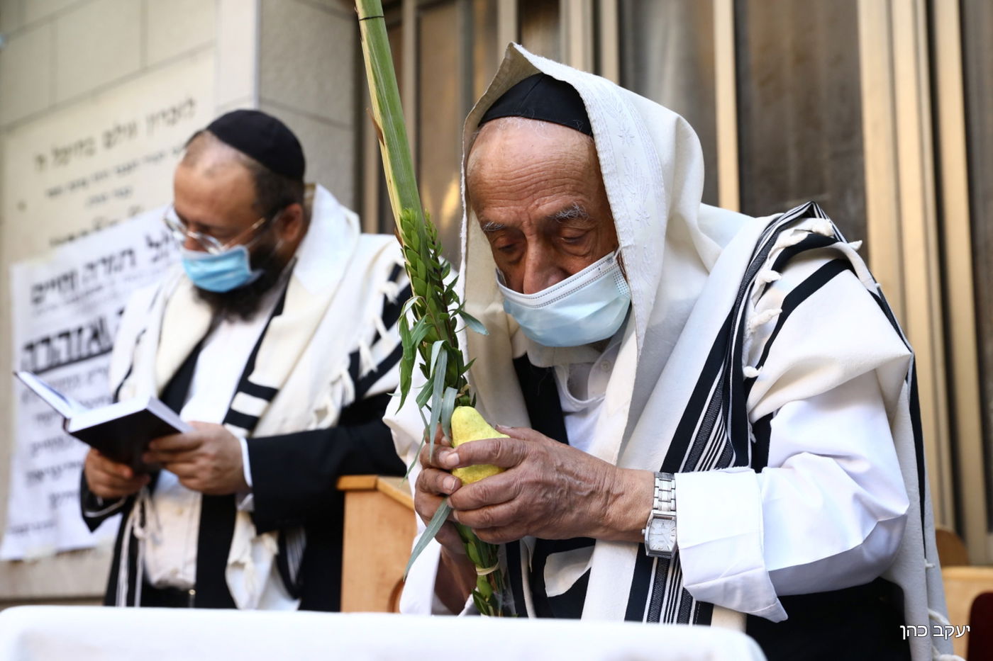 הגר"ש בעדני בתפילת שחרית והושענות