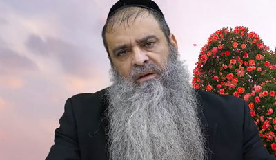 הרב רפאל זר בפינה לחג שמחת תורה • צפו