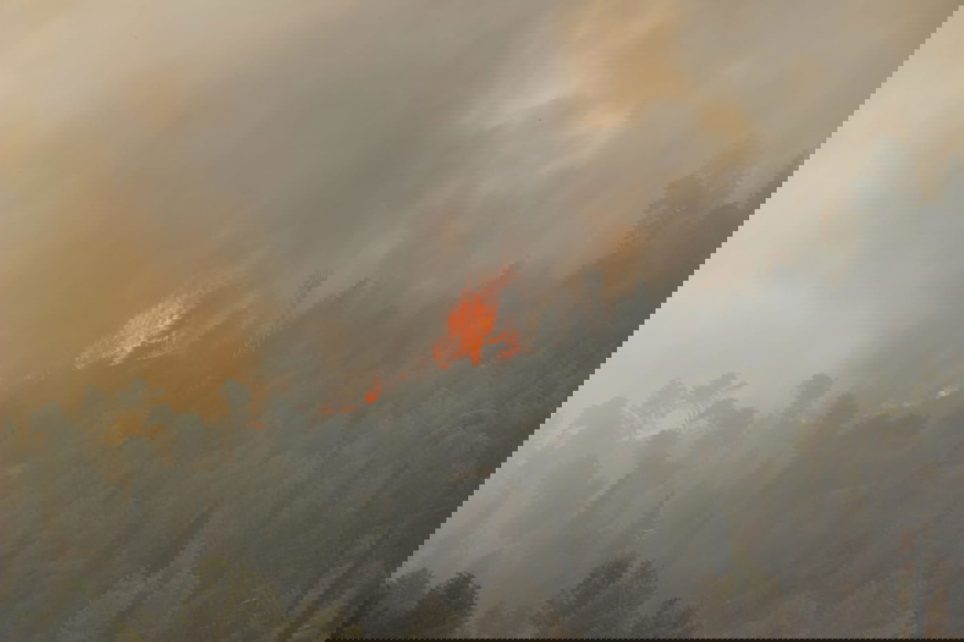 שריפת ענק משתוללת סמוך למודיעין עילית