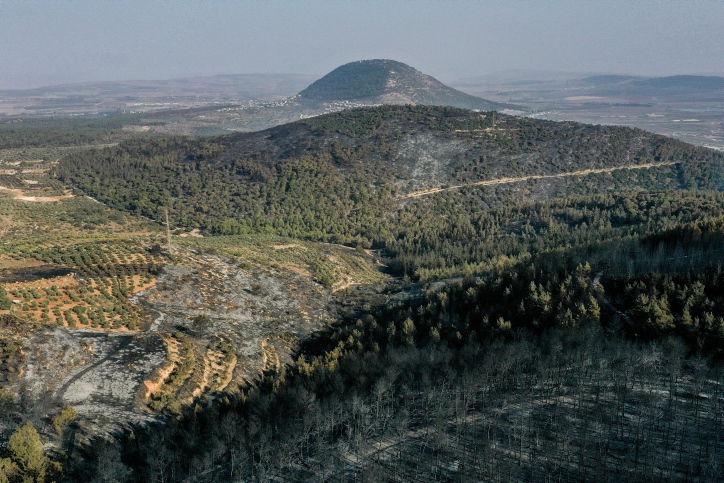 נזקי השריפה ליד נוף הגליל בסופ"ש