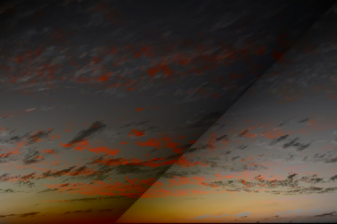 גלריה מרהיבה במיוחד מהשקיעה הסתווית