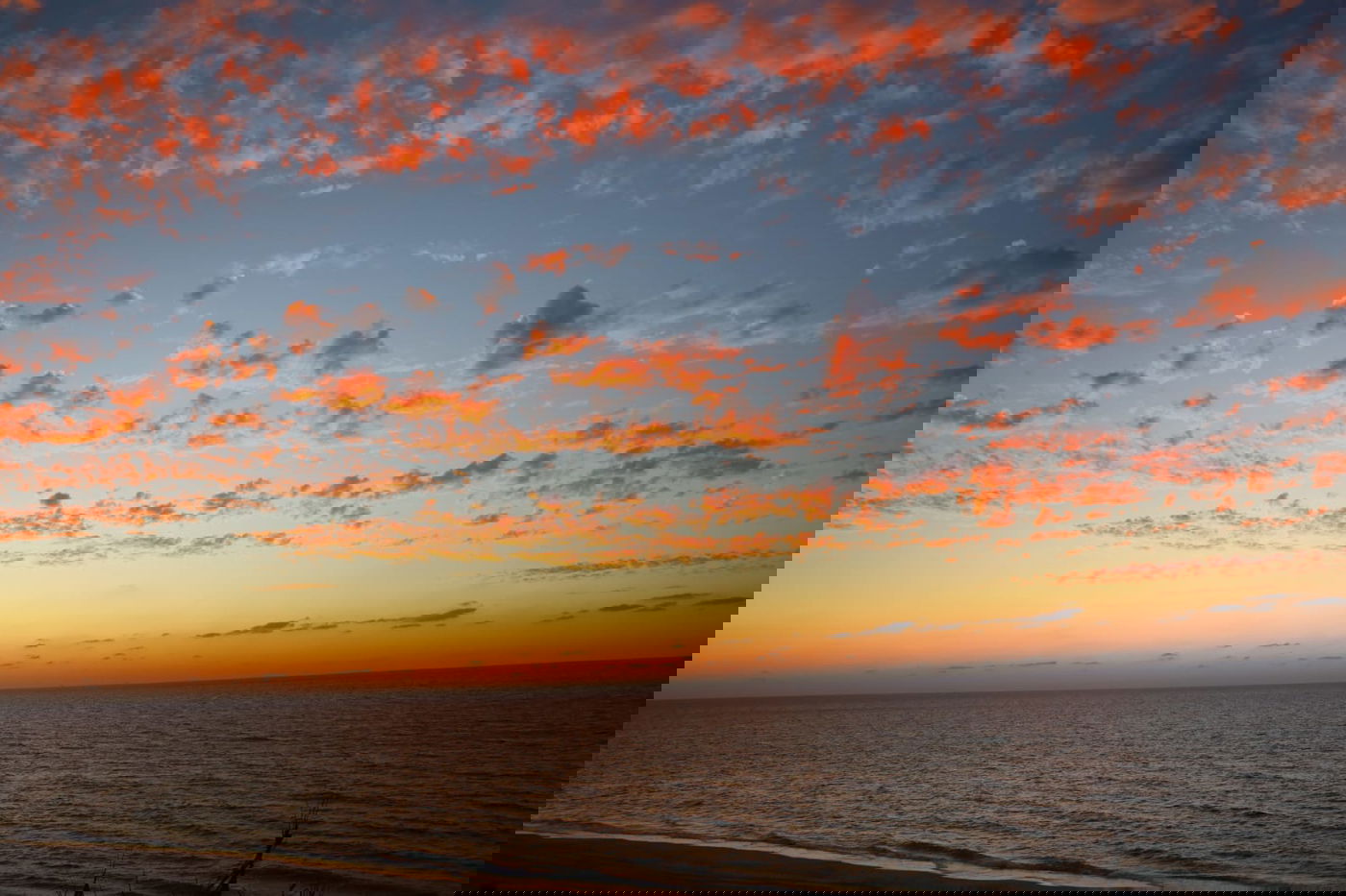 גלריה מרהיבה במיוחד מהשקיעה הסתווית