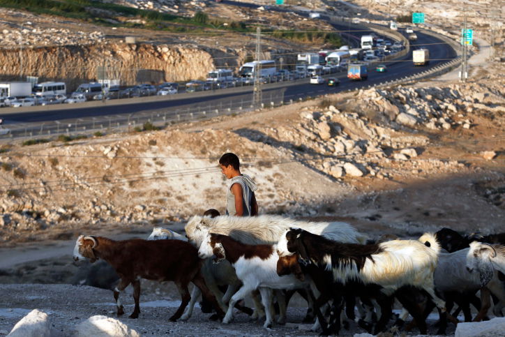 למה דווקא העיזים אלו שמייצגים את העדר?