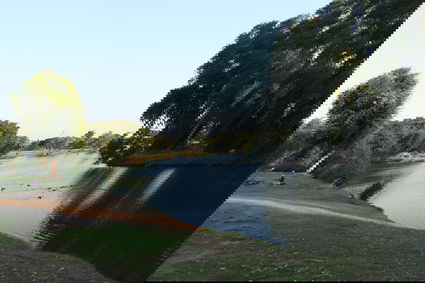 אחרי הסגר • צפו במבלים ב'פארק הלאומי'