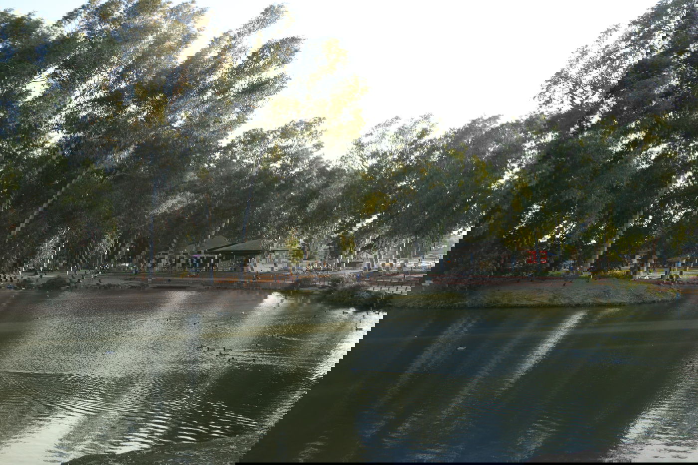 אחרי הסגר • צפו במבלים ב'פארק הלאומי'