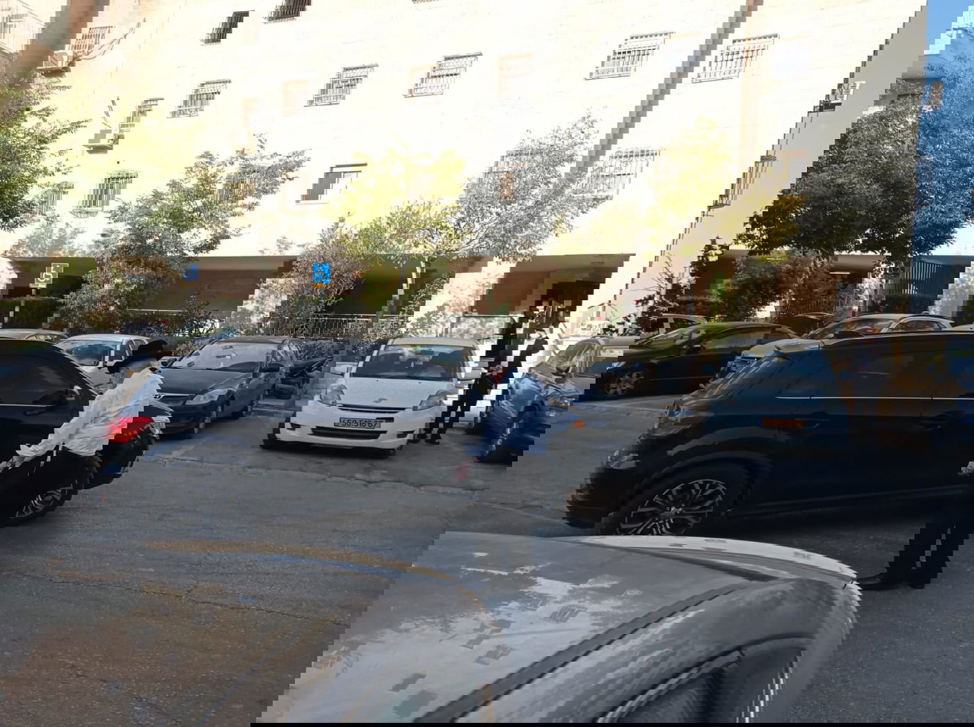 זופניק בכיכר • כל התמונות והנייעס של השבוע