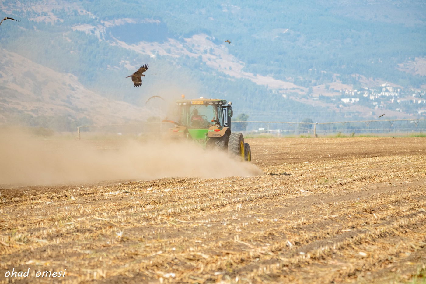 מרהיב: תמונות הטבע והנוף באגמון החולה