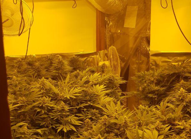 המעבדה שנתפס