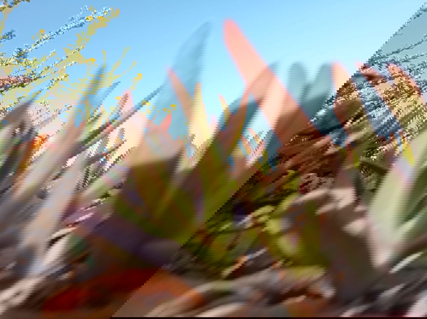 בין חוף תל ברוך לחוף הצוק • תיעוד מרהיב