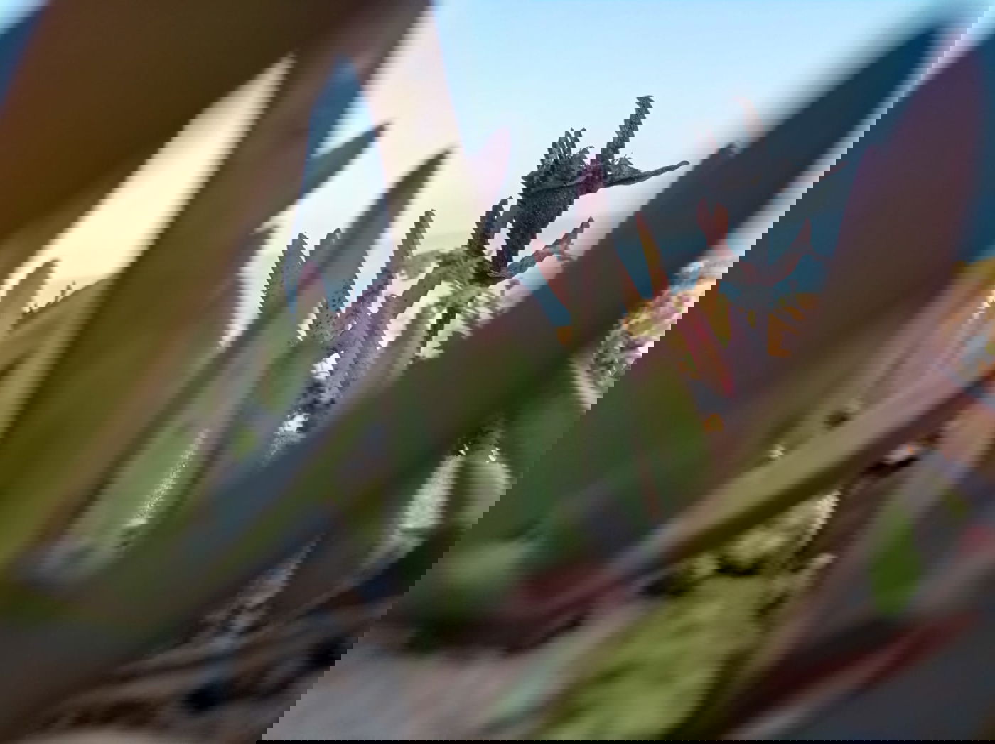 בין חוף תל ברוך לחוף הצוק • תיעוד מרהיב