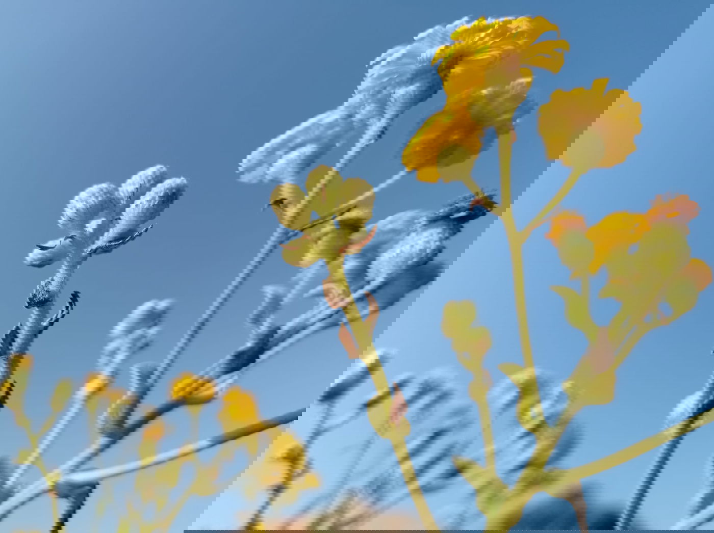 בין חוף תל ברוך לחוף הצוק • תיעוד מרהיב