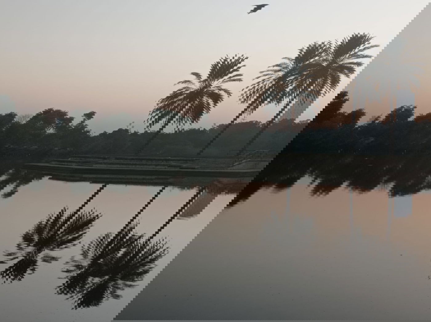 בין חוף תל ברוך לחוף הצוק • תיעוד מרהיב