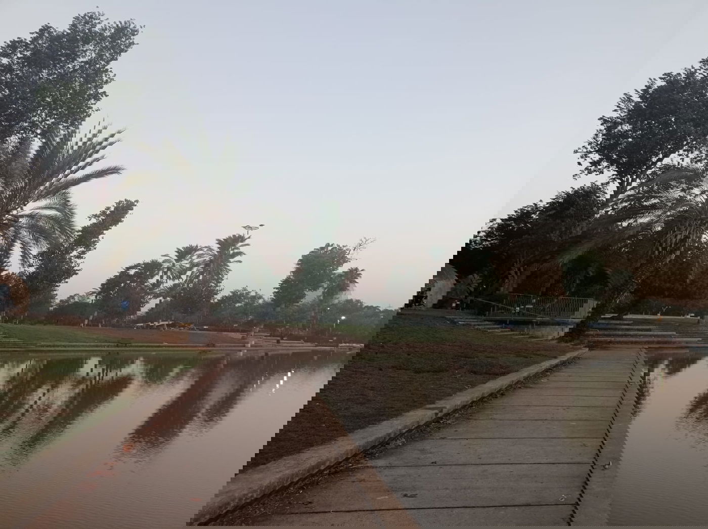 בין חוף תל ברוך לחוף הצוק • תיעוד מרהיב