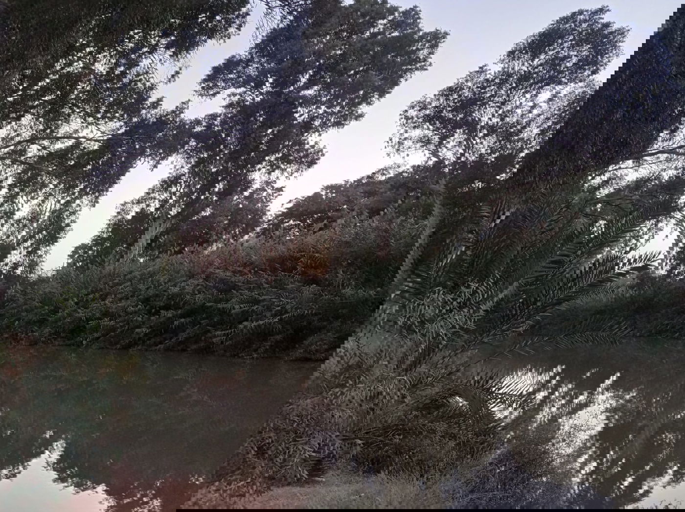 בין חוף תל ברוך לחוף הצוק • תיעוד מרהיב