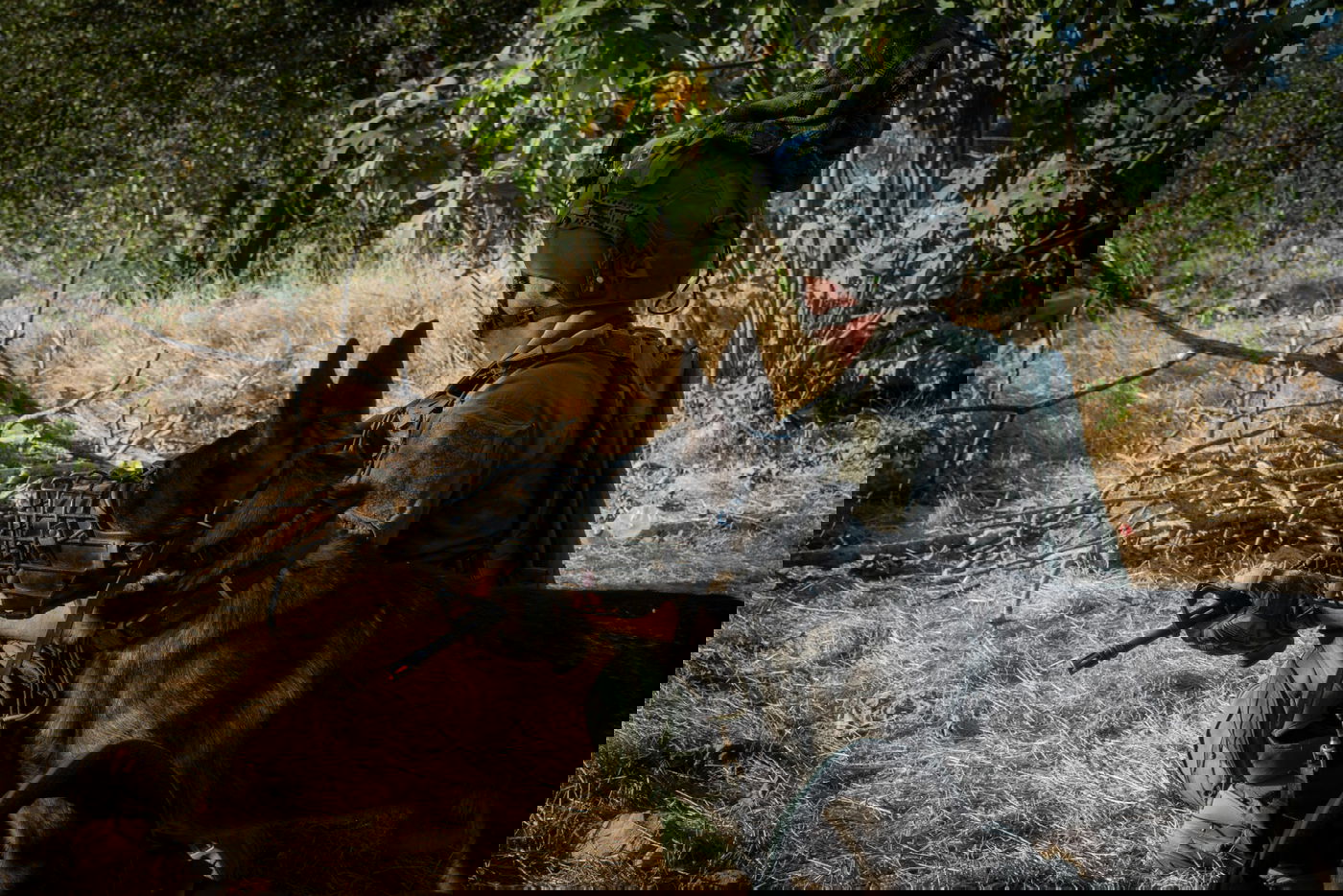 'חץ קטלני': הסתיים התרגיל המטכ"לי הגדול