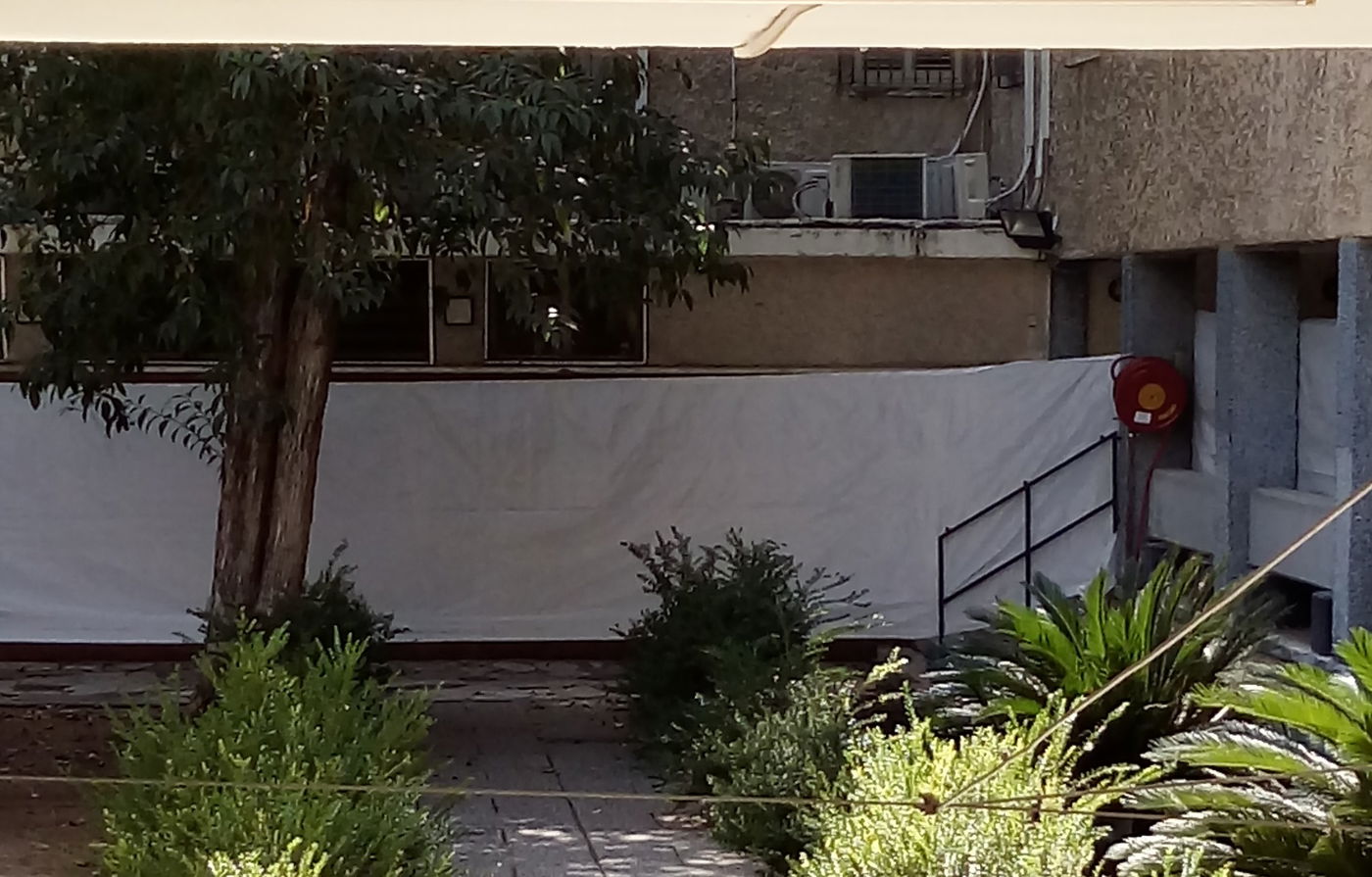 השטייגען של בחורי 'היישוב' בתל אביב. צפו