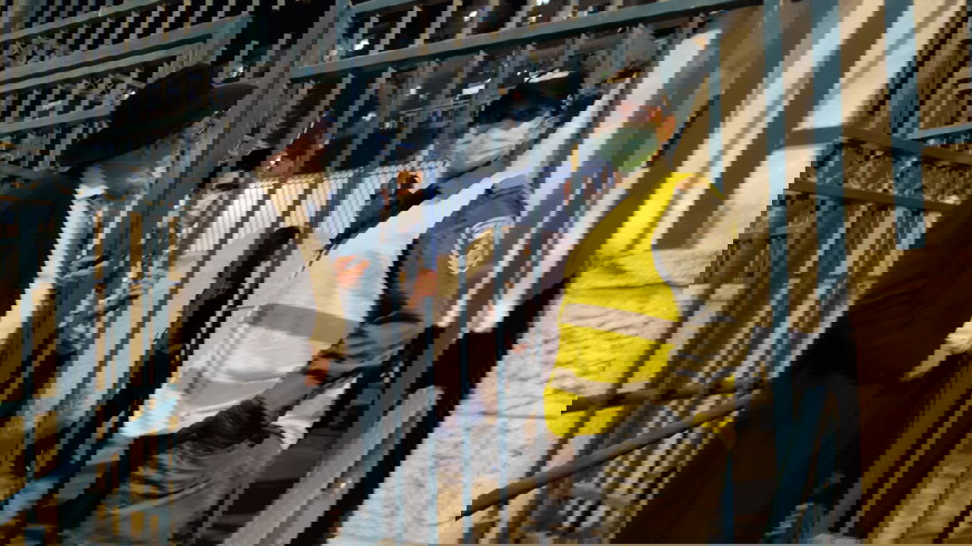 אילוסטרציה