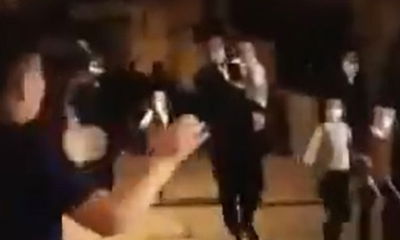 הפחיד ילדים חרדים בצעקות "כלבים שלנו" ושוחרר