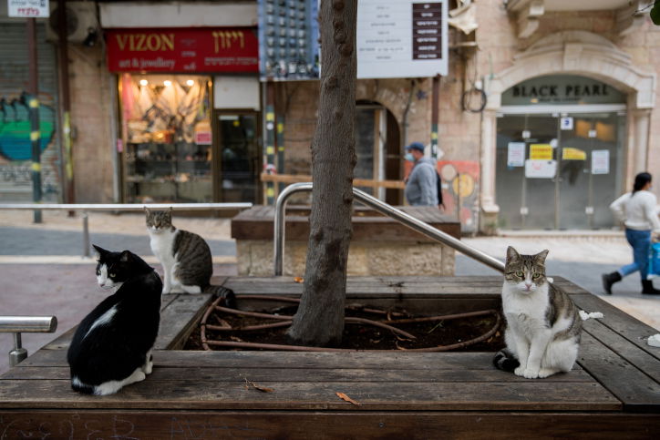 קבינט הקורונה: מחלוקת על פתיחת המסחר