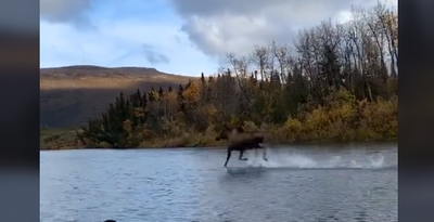 "אייל הולך על המים": סרטון אמיתי או זיוף?
