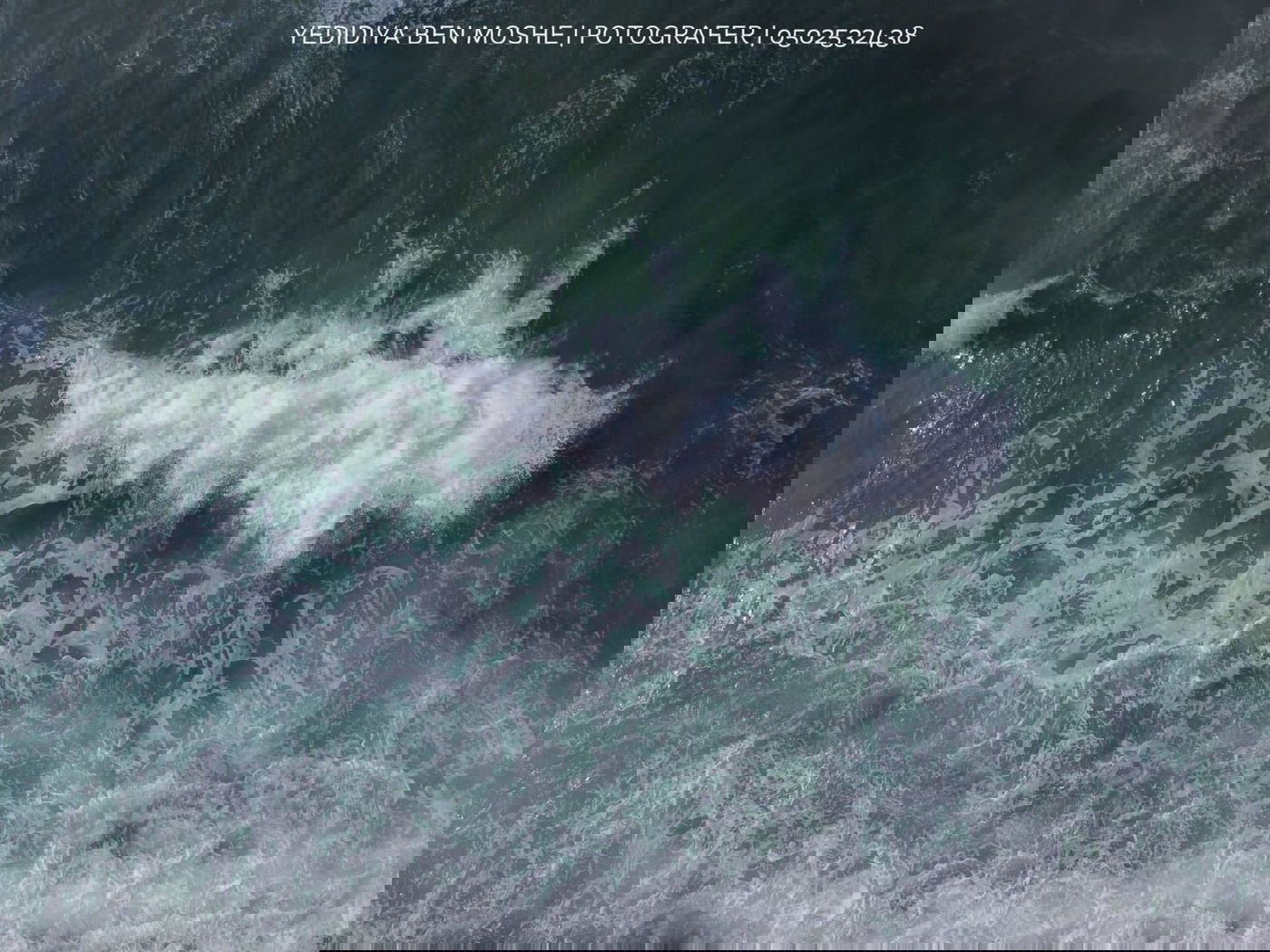 צפו: סיור מצולם בחופי הים של יפו ותל אביב