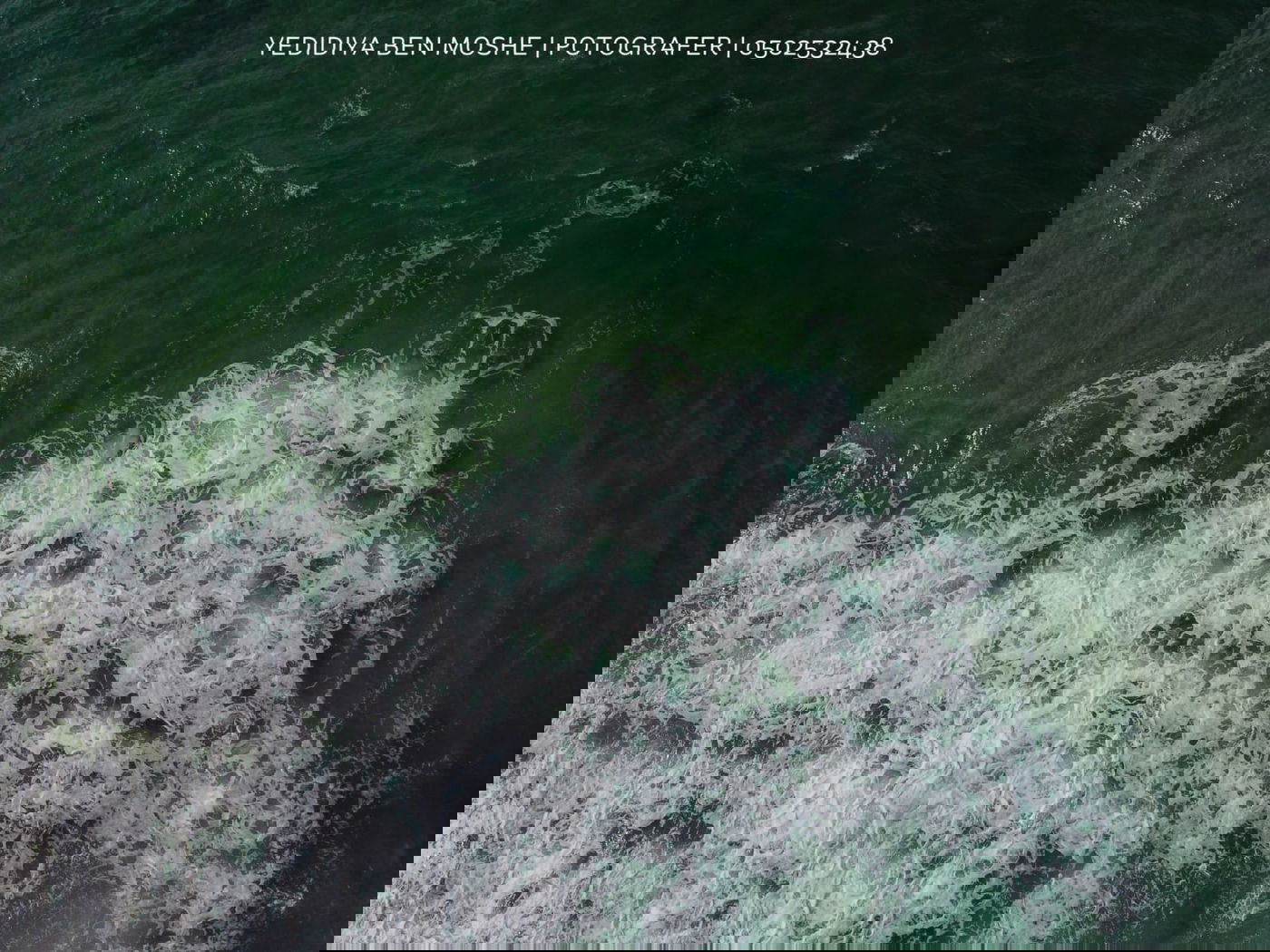 צפו: סיור מצולם בחופי הים של יפו ותל אביב