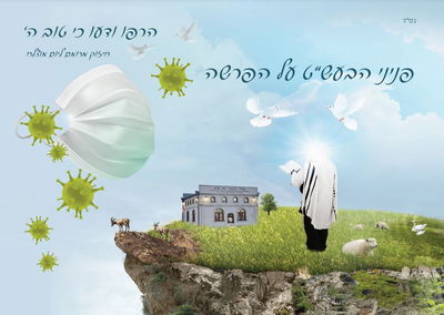 פרשת וירא; לקחו לך את המדרגות? אל תפול!