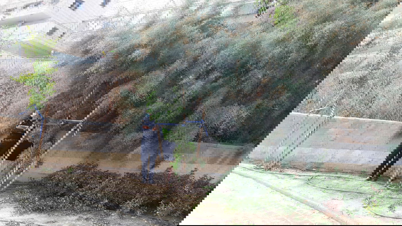 פרובוקציה? שוטרת "חרדית" באזור החרדי