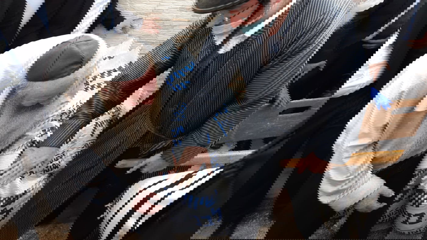 תיעוד נרחב: הלוויתו של ה'פוסק' האמריקני, בישראל