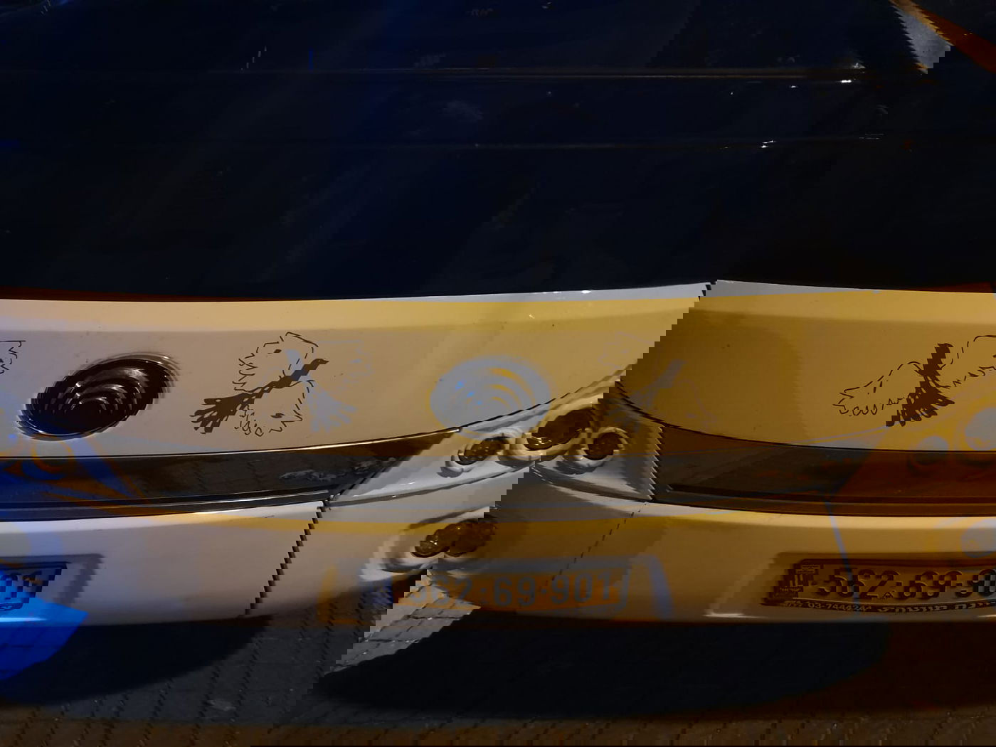 "הילדות פרצו בבכי": ספגו מטר אבנים. תיעוד