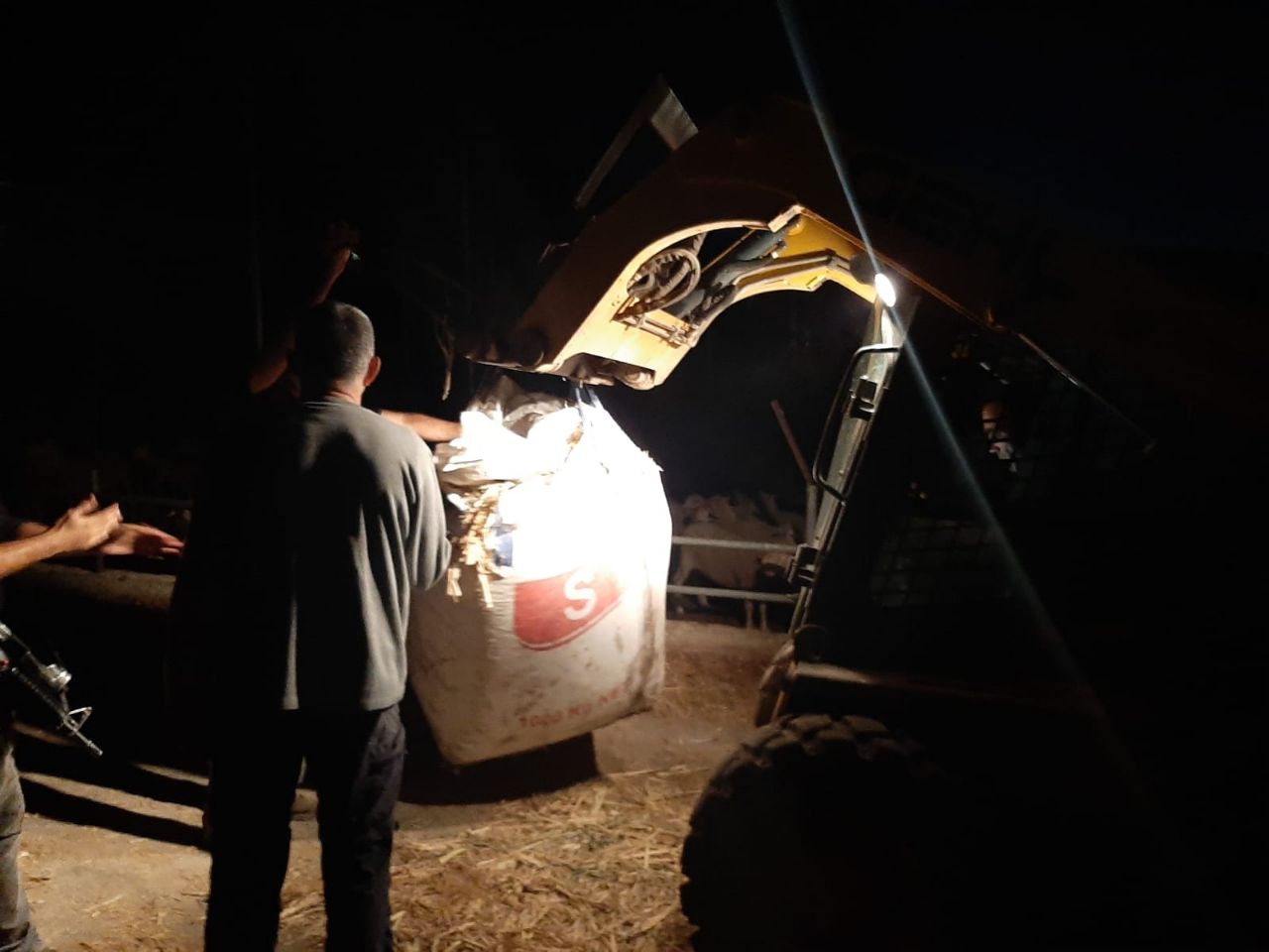 צפו: כך איתרו 12 טון של זיתים שנגנבו בגליל