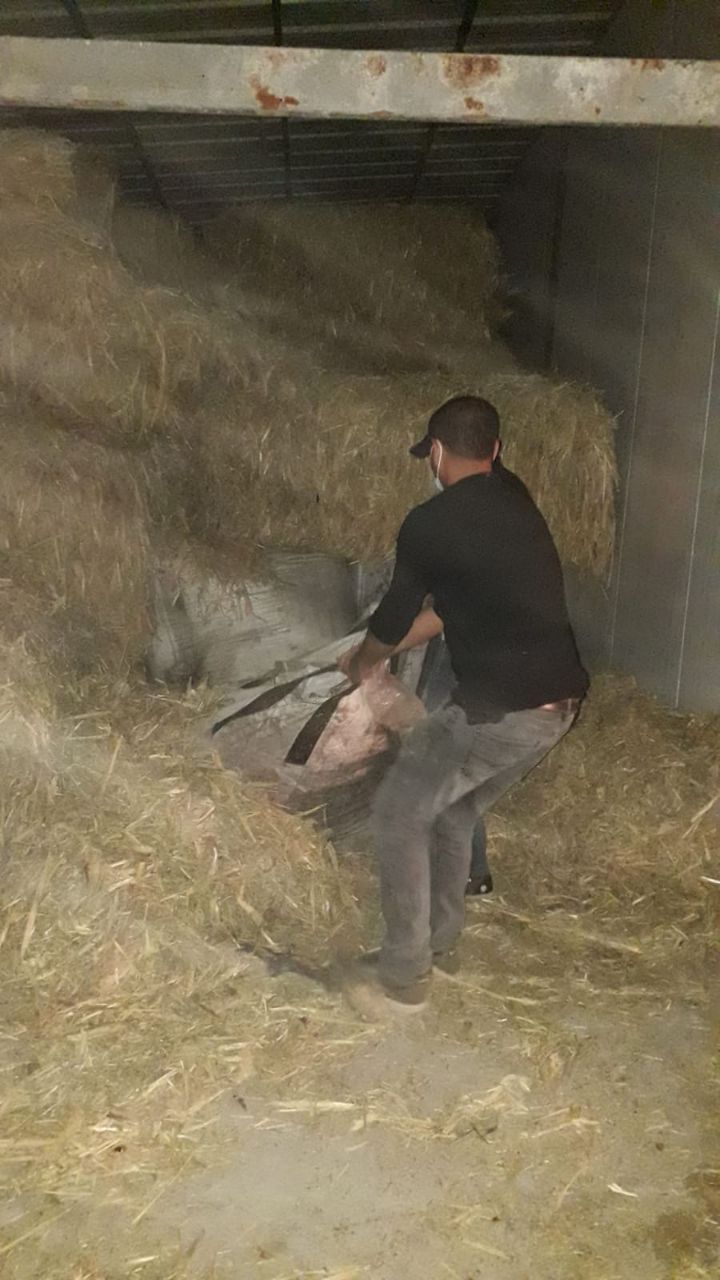 צפו: כך איתרו 12 טון של זיתים שנגנבו בגליל