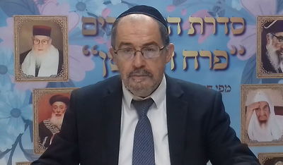 הוורט במרוקאית