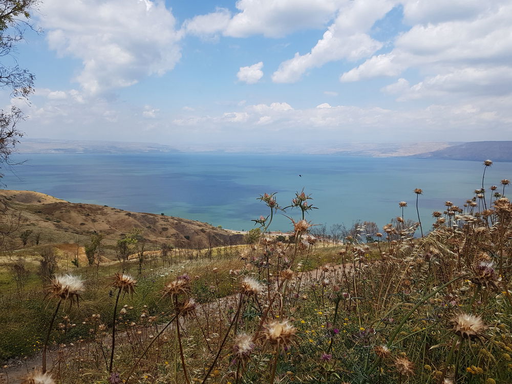 מבט לכנרת מהגליל