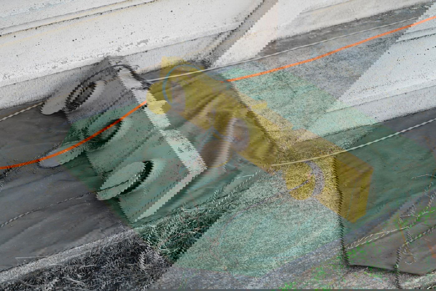 מטעני החבלה שנחשפו