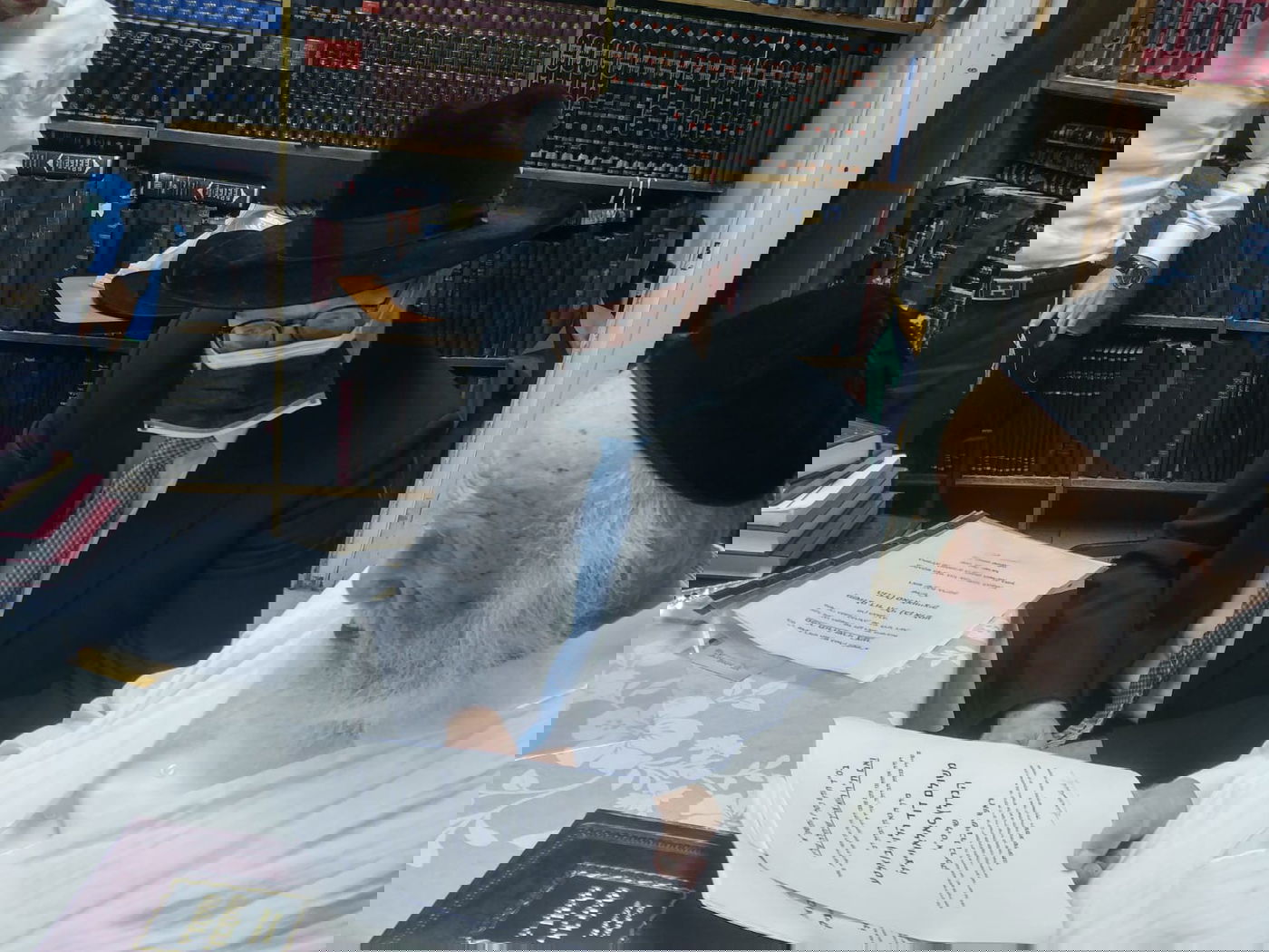 מועצת גדולי התורה על מצב הגרמ"ד סולובייצ'יק: "רעדה אחזתנו"