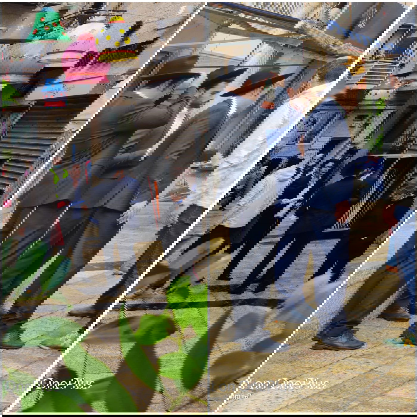 זופניק בכיכר • התמונות והנייעס של השבוע