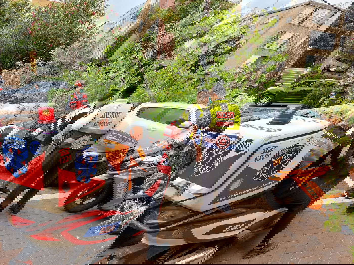 עץ גדול קרס על הכביש; רכבים ניזוקו • צפו