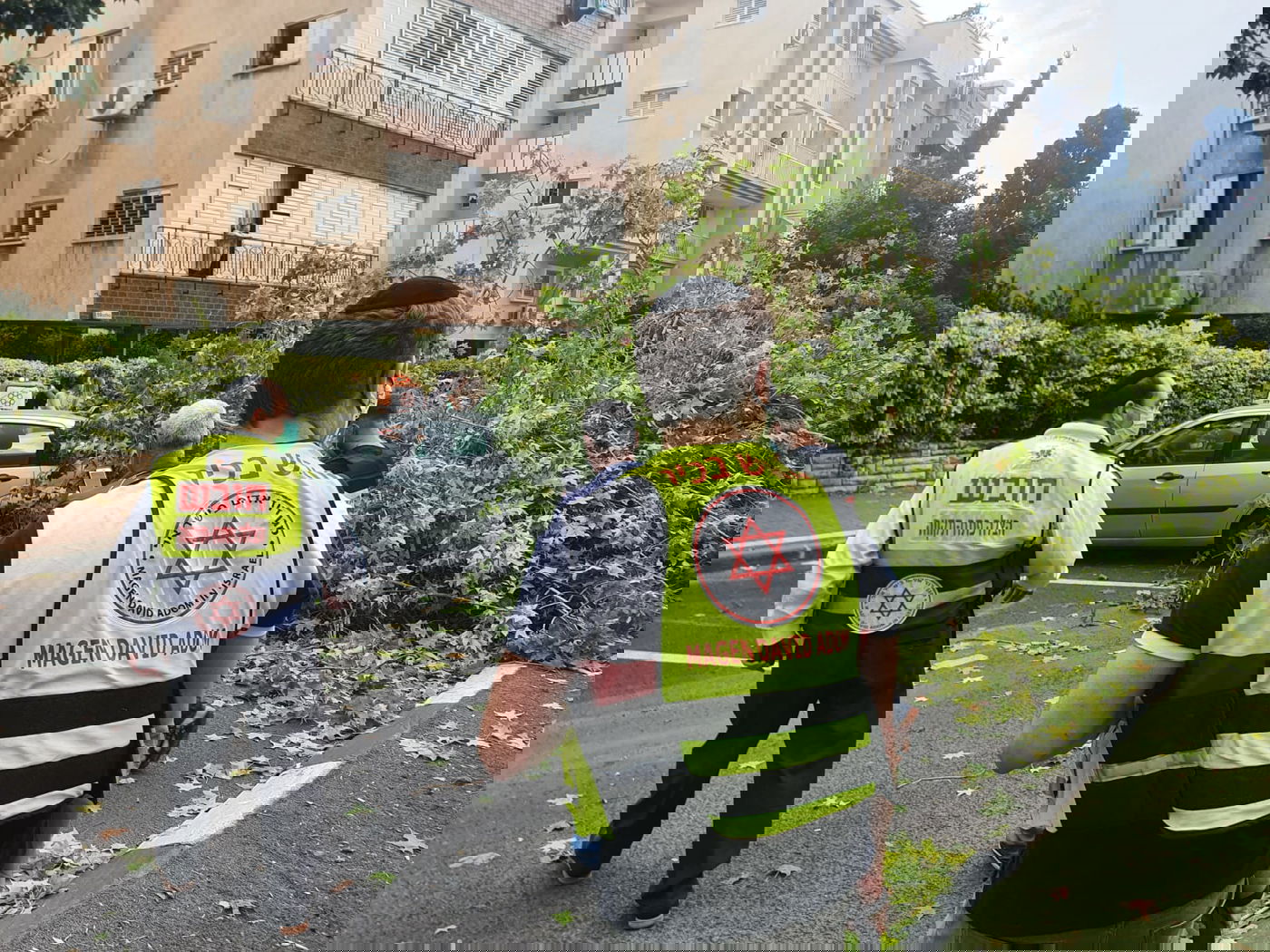 עץ גדול קרס על הכביש; רכבים ניזוקו • צפו