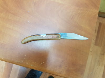 לוחמי מג"ב סיכלו פיגוע דקירה בעיר חברון